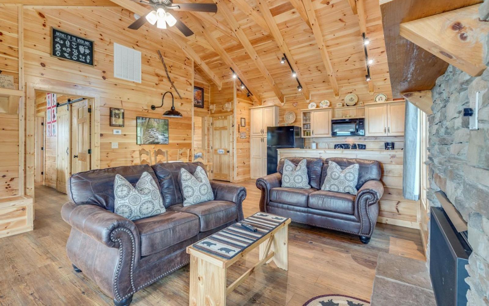 Lifes A Bear Villa Gatlinburg Exterior photo